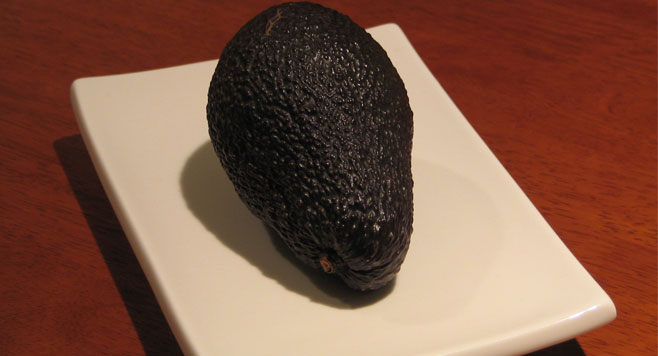 avocado